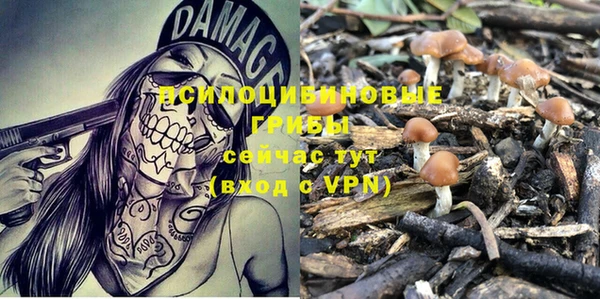 прущая мука Богородицк